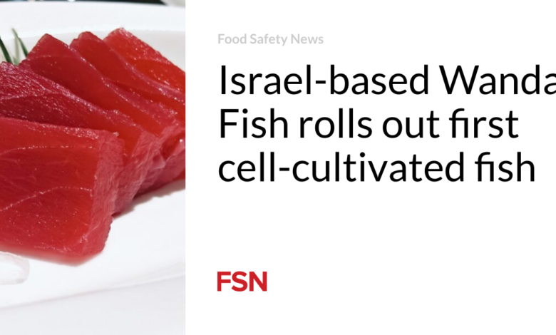 Israel-based Wanda Fish rolls out first cell-cultivated fish