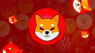Shiba Inu Struggles Despite 400% Jump in Whale Transactions: What to Expect from SHIB Price Next?