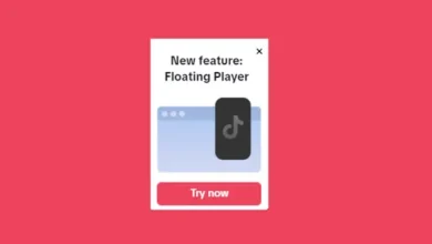 TikTok Adds ‘Floating Player’ on Desktop to Facilitate Expanded Viewing