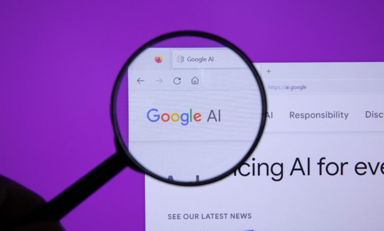 Google search AI Overviews uses terrible information sourcing to give you terrible answers