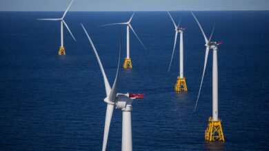 US Offshore Wind Farms Are Being Strangled With Red Tape