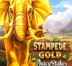 Explore the African Savannah in ‘Stampede Gold’ with 10 Free Spins: New Betsoft Slot at Juicy Stakes Casino