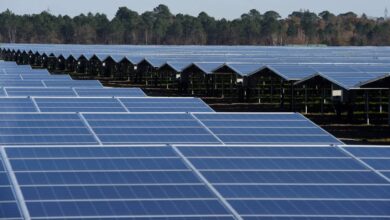 Brookfield leading talks to buy renewable energy provider for $6.5 billion