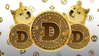 Dogecoin’s Famed Mascot Kabosu Dies at 18