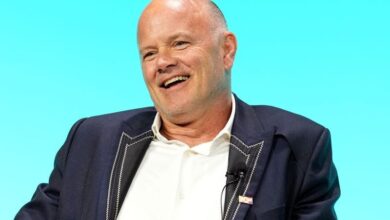 Meet Mike Novogratz, the Political Commentator