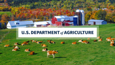 USDA Announces $824 Million in New Funding to Protect Livestock Health; Launches Voluntary H5N1 Dairy Herd Status Pilot Program