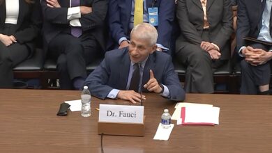 Fauci Denies ‘False Accusation’ of COVID Origins Cover-Up