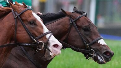 2024 Belmont Stakes horses, entries, odds, date: Expert who nailed 4 of 6 winners shares picks, predictions