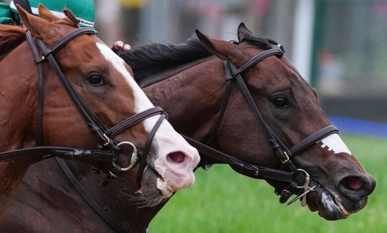 2024 Belmont Stakes horses, entries, odds, date: Expert who nailed 4 of 6 winners shares picks, predictions