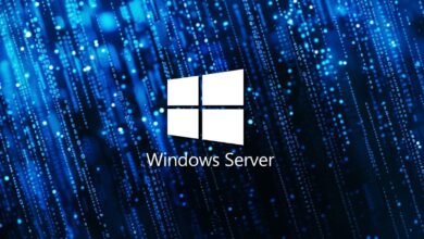 New Windows Server KB5039227 and KB5039217 updates fix LSASS crashes