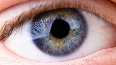 Construction Workers Face Increased Risk of Both Ocular Injuries and Diseases