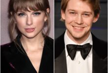 Joe Alwyn Subtly Responds to ‘The Black Dog’ Rumors in First Comments on the Taylor Swift Breakup
