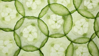 Cucumbers Linked to Salmonella Could Pose ‘Serious Adverse Health Consequences or Death’