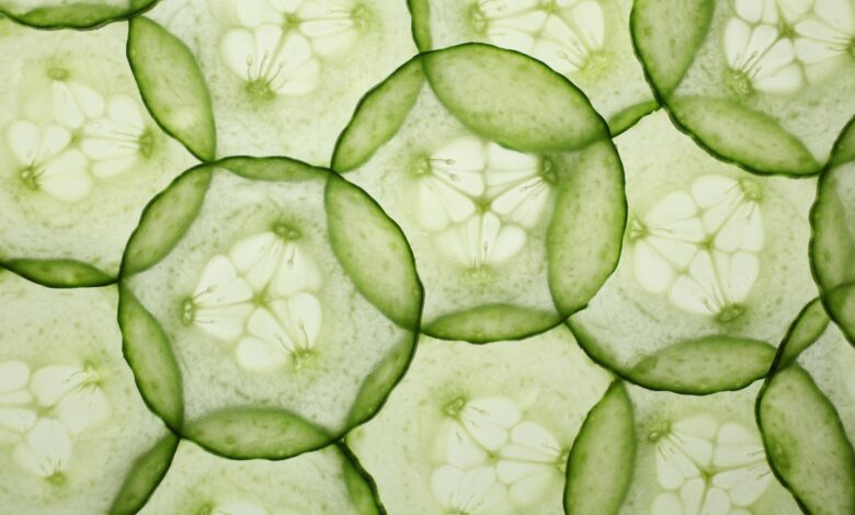 Cucumbers Linked to Salmonella Could Pose ‘Serious Adverse Health Consequences or Death’