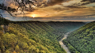 New River Gorge: A New National Park