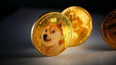 Dogecoin, Shiba Inu volume slumps as Solciety token sale thrives