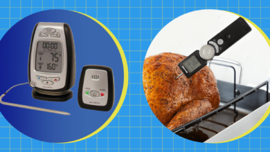 The 12 Best Meat Thermometers in 2024, Tested by Editors