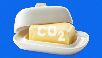 This Bill Gates-Backed Startup Is Making ‘Butter’ From CO2 Instead of Cows