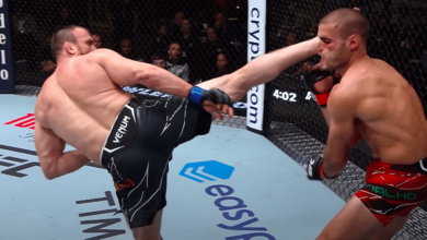 Watch: Free Fight — Muslim Salikhov vs. Andre Fialho