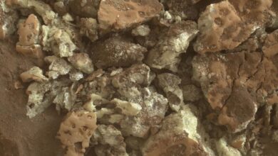 NASA’s Curiosity rover accidentally uncovered pure sulfur crystals on Mars