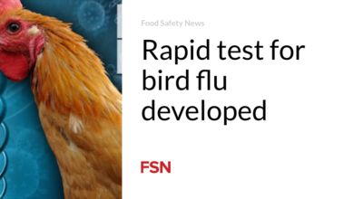 Rapid test for bird flu developed