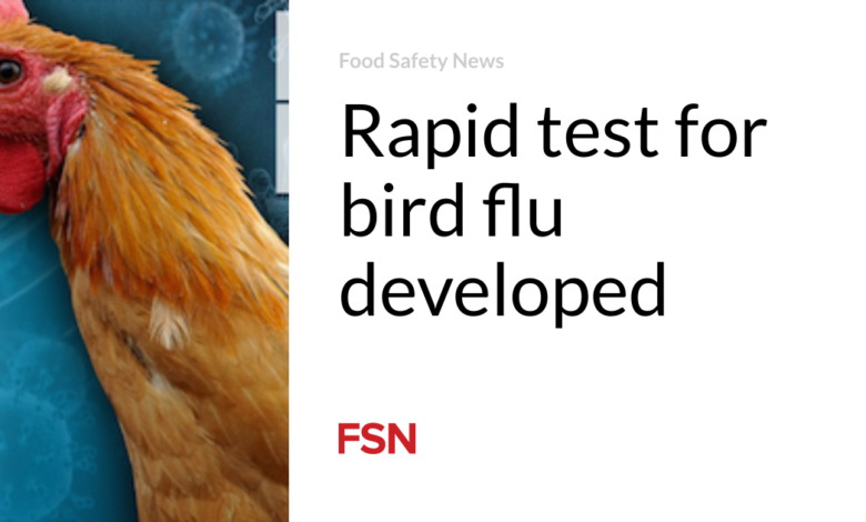 Rapid test for bird flu developed