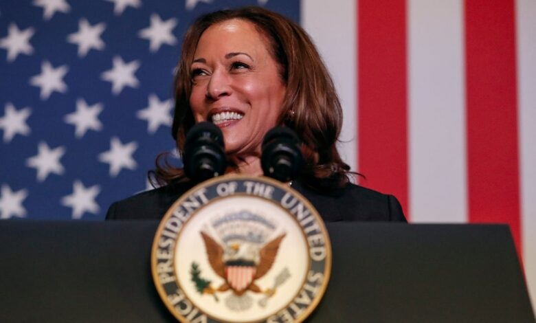 Kamala Harris Compares Criminals She Prosecuted as California AG to Her Opponent: ‘I Know Donald Trump’s Type’ | Video