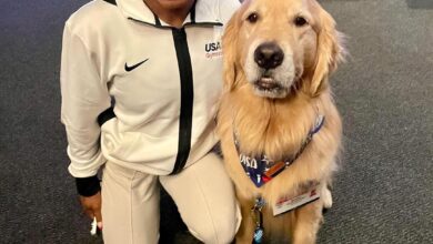 Meet Beacon, Team USA’s Therapy Dog