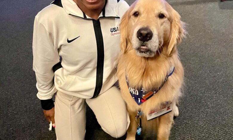 Meet Beacon, Team USA’s Therapy Dog