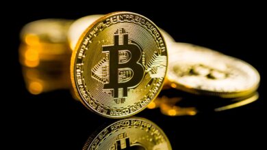 Bitcoin rebounds after massive sell-off; BRETT and Poodlana shine