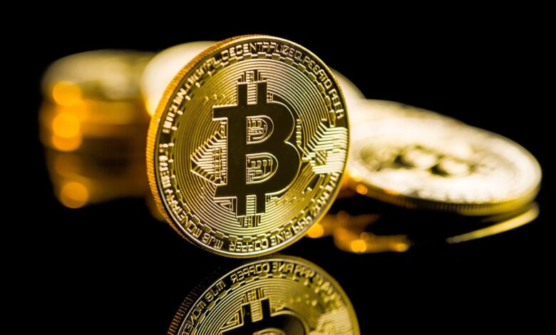 Bitcoin rebounds after massive sell-off; BRETT and Poodlana shine