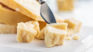 PDO-protected cheeses rampant with diverse bacteria