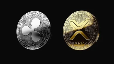 Options Market on Deribit Bets on XRP Price Surpassing $1