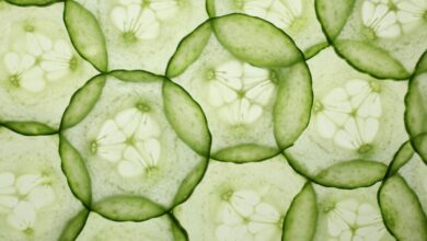 5 Health Benefits Of The Humble Cucumber, Which Is Suddenly Viral