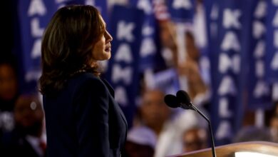 Kamala Harris Makes Her Case as Uniter-in-Chief in 2024 DNC Speech