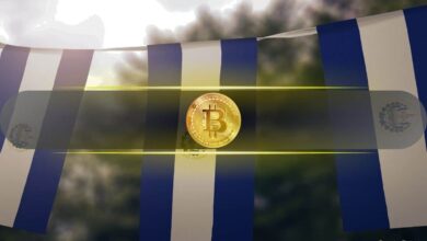 Here’s How Much El Salvador’s Cold Wallet Amassed Since Mid-March by Bitcoin Daily