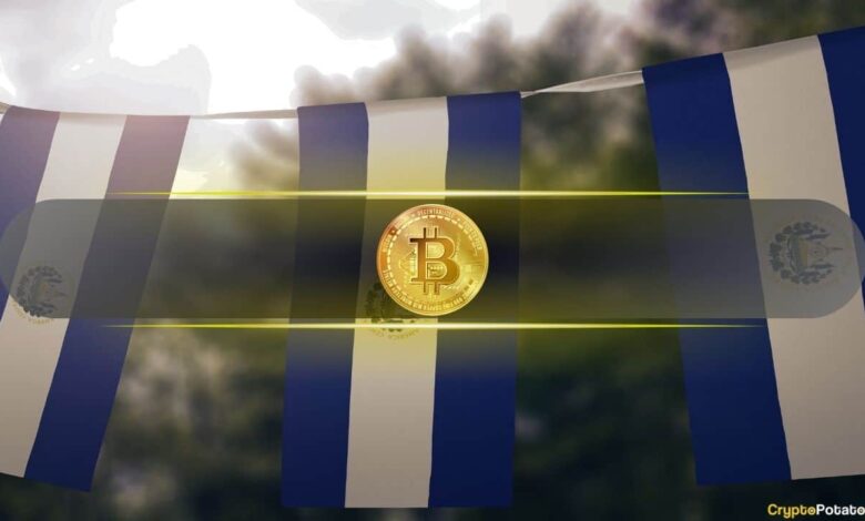 Here’s How Much El Salvador’s Cold Wallet Amassed Since Mid-March by Bitcoin Daily