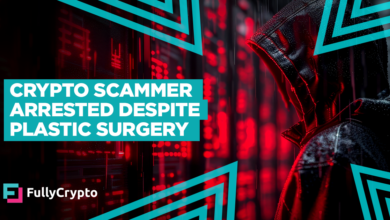 Crypto Scammer Arrested Despite Plastic Surgery