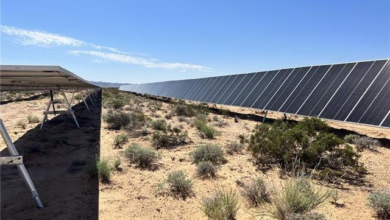 Millions of Acres Added for Solar Power Projects on Public Land