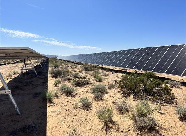 Millions of Acres Added for Solar Power Projects on Public Land