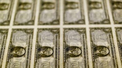 Dollar edges to two-week high vs euro as US payroll data looms