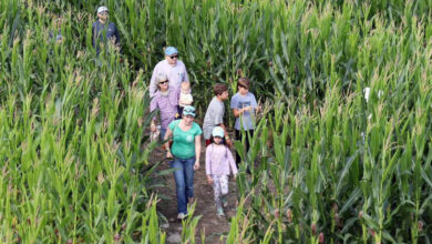 America’s Most Magnificent Mazes