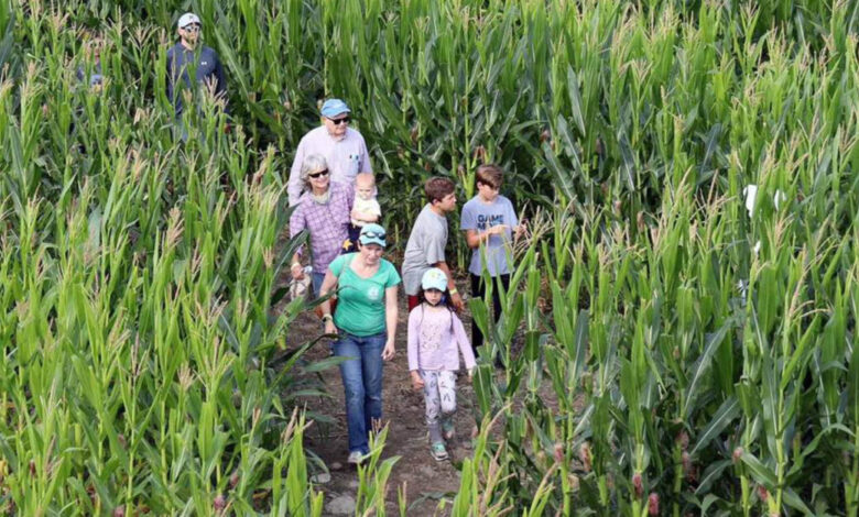 America’s Most Magnificent Mazes