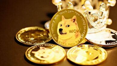 Dogecoin (DOGE) Gains Momentum as Elon Musk’s Support Fuels Bullish Outlook