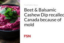 Beet & Balsamic Cashew Dip recalled in Canada because of mold