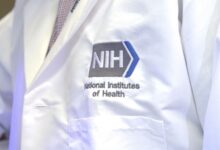 NIH Neuroscience Leader Committed Research Misconduct, Agency Says