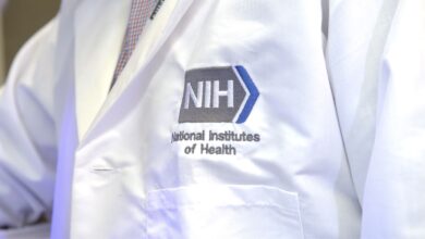 NIH Neuroscience Leader Committed Research Misconduct, Agency Says