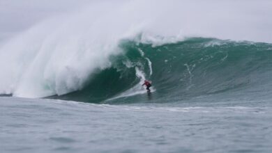 Big wave surfer emerges from the barrel with $120M fund for regenerative agriculture