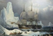 Franklin expedition captain who died in 1848 was cannibalized by survivors