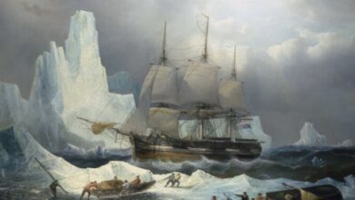 Franklin expedition captain who died in 1848 was cannibalized by survivors